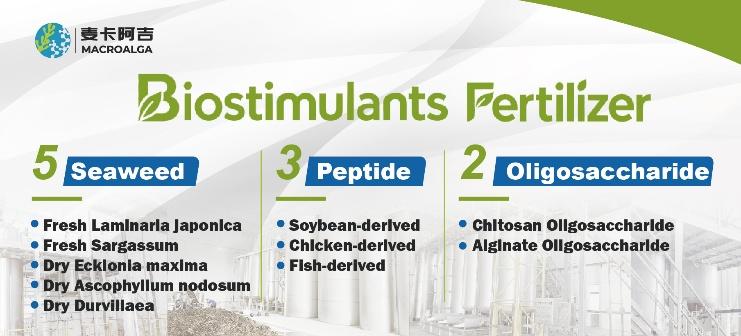 Reliable Biostimulant Original Manufacturer: Your Trusted Partner in Sustainable Agriculture